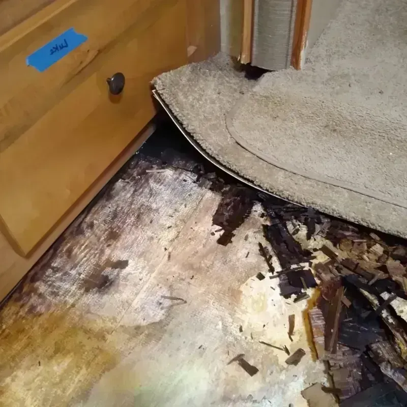 Best Wood Floor Water Damage Service in Navarre, FL